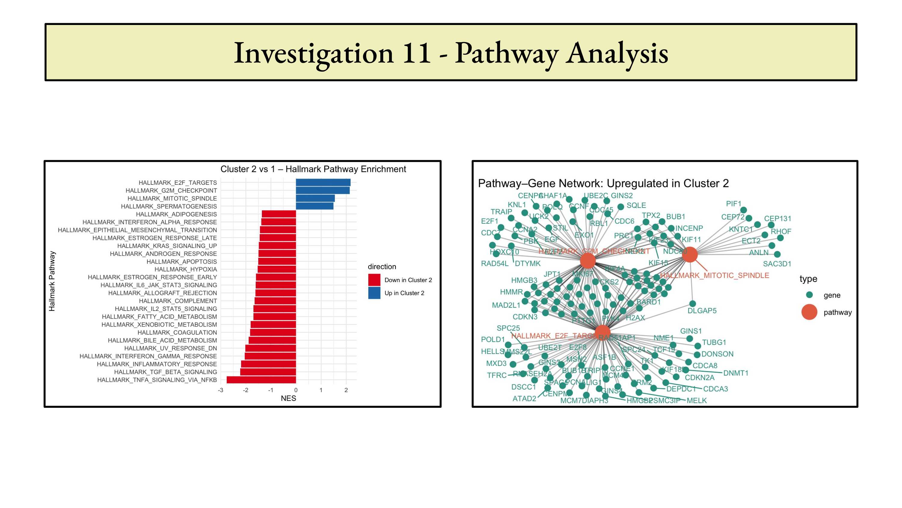 Liver hepatocellular carcinoma analysis report page 30