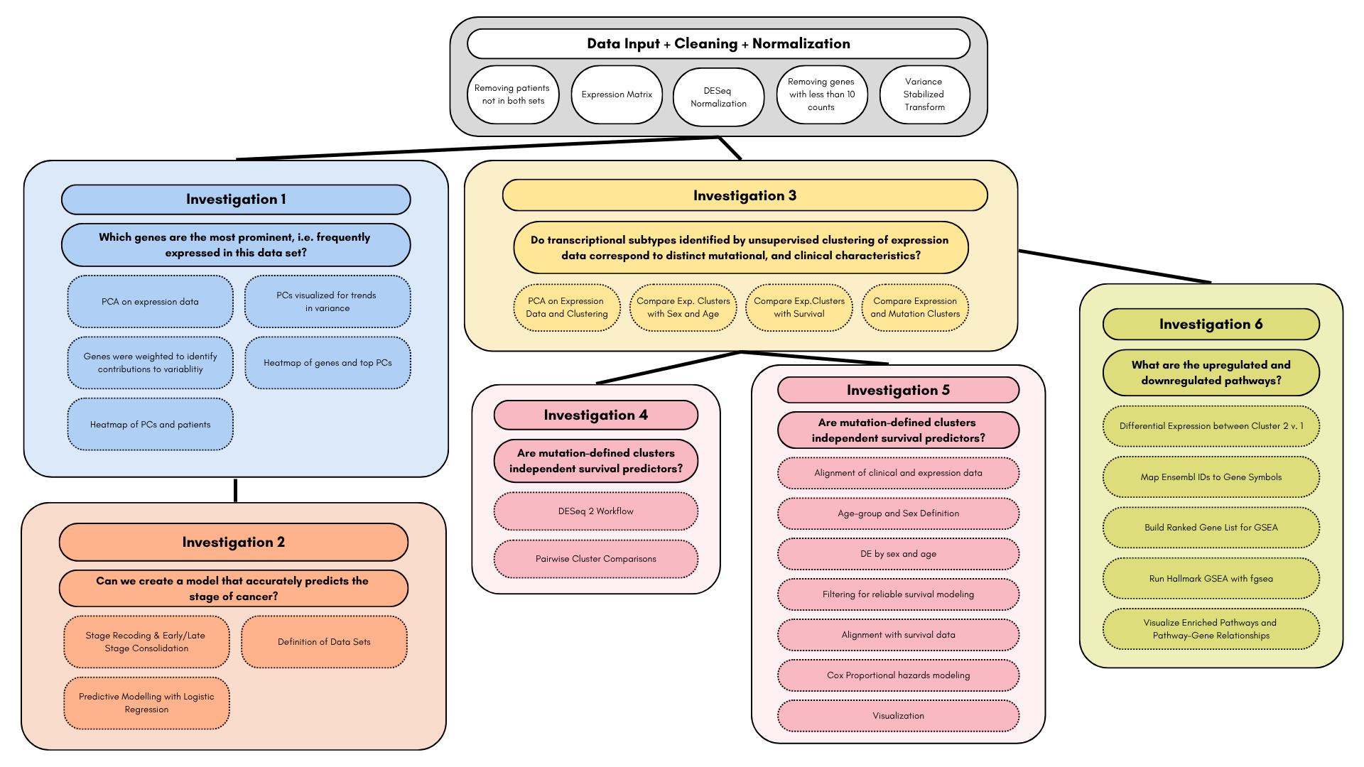 Flowchart of the liver hepatocellular carcinoma analysis workflow